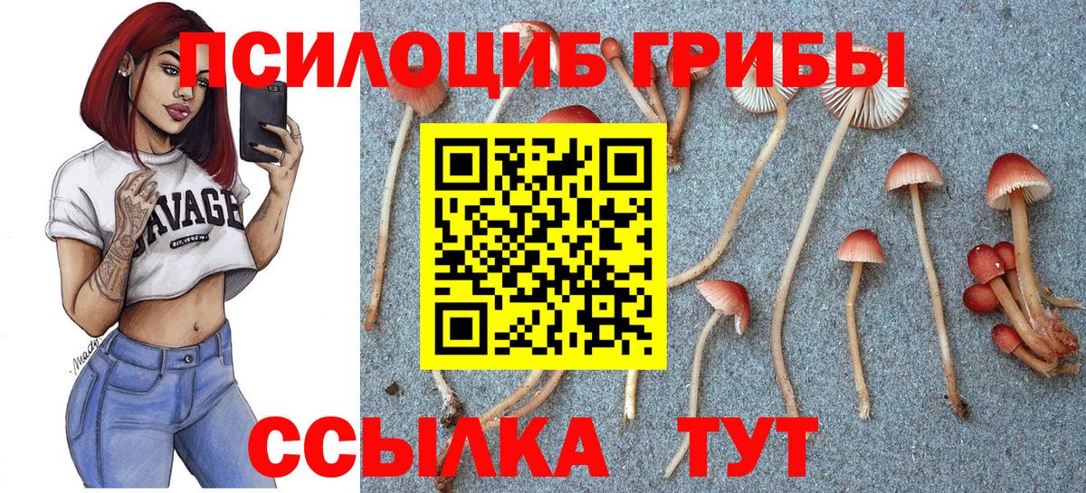 Галлюциногенные грибы Magic Shrooms Гай